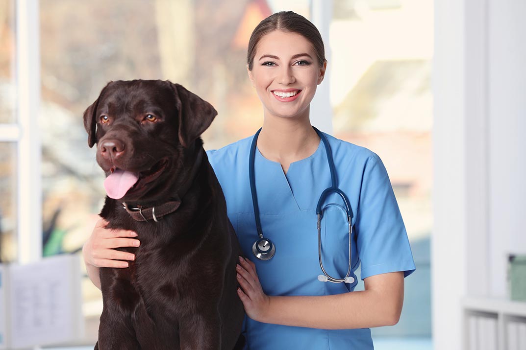 Veterinary Nursing - Academy for Health & Fitness