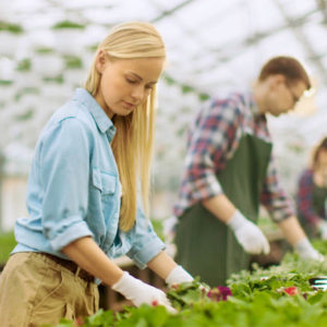 Horticultural Worker Course