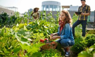 Horticulture Diploma