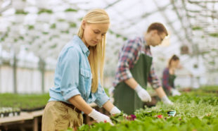 Horticulture & Organic Gardening