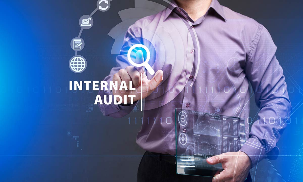 Internal Audit Skills