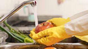 Food Hygiene & Safety Level 2