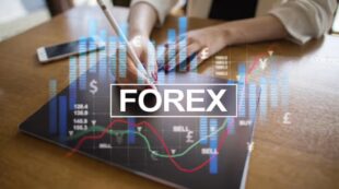 Forex Trading Diploma