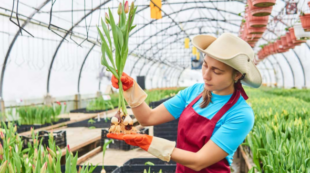 Horticultural Work