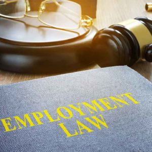 employment law & recruitment process 2020