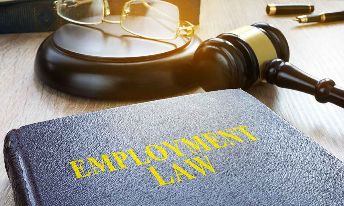 employment law & recruitment process 2020