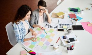 Business Analyst: Project Management Techniques