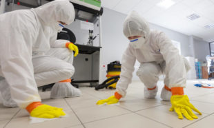 Asbestos Surveying & Management Training