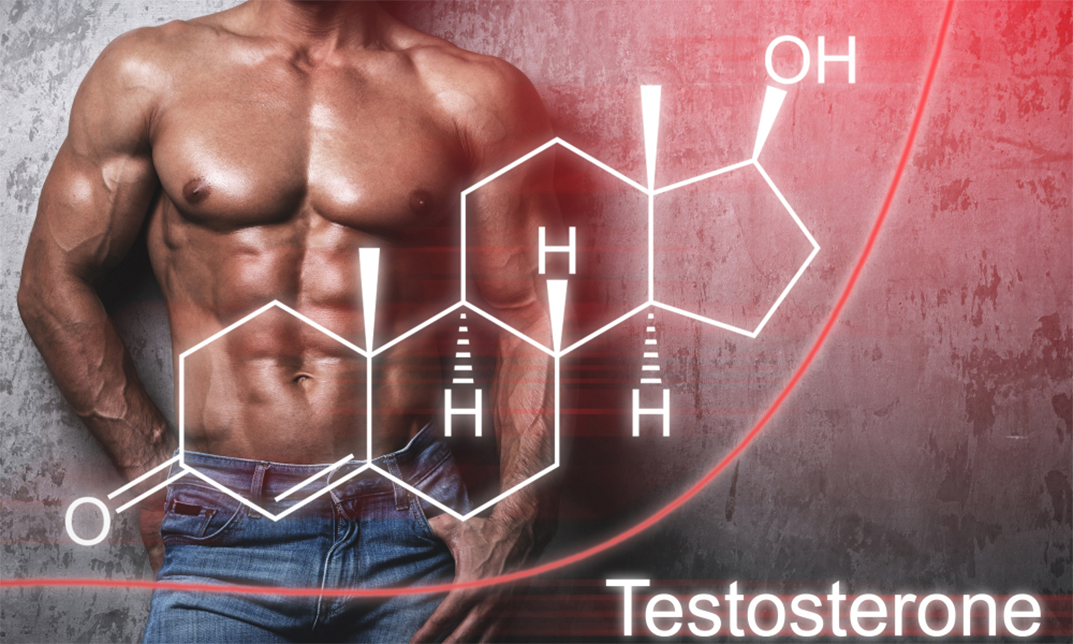 Hormone Health & Testosterone Course
