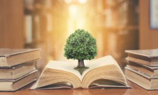 Environmental Law Course