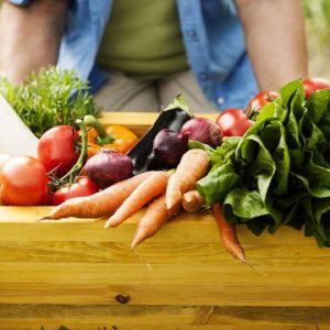 Benefits of Organic Gardening