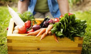 Benefits of Organic Gardening