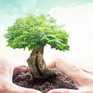 Environment Management