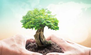 Environment Management Course