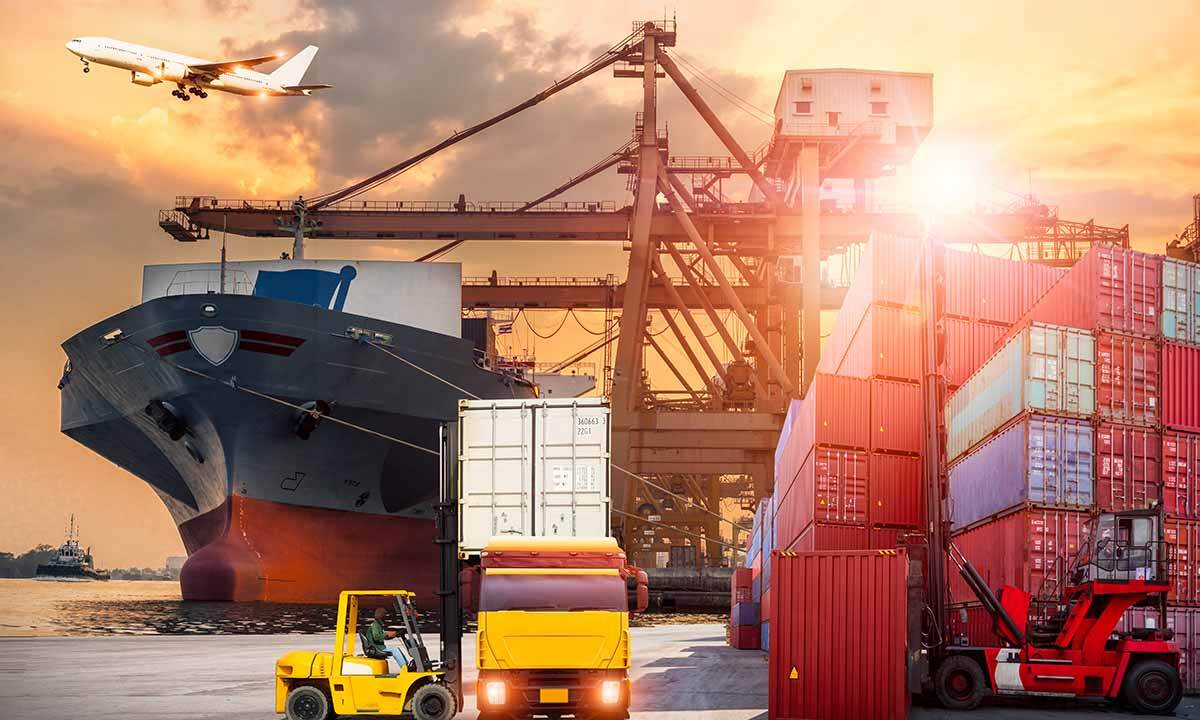Transport and Logistics Management
