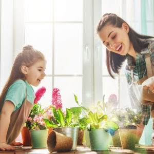 Understanding of Homesteading Gardening Diploma