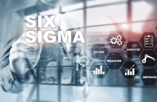 Lean Six Sigma Black Belt