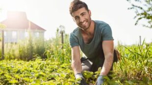 Horticultural Worker Course