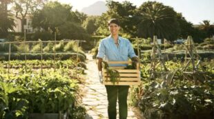 Homesteading Diploma Training