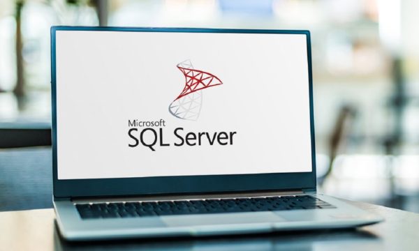 "Basic Microsoft SQL Server "