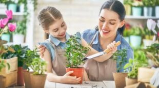 Sustainable Living