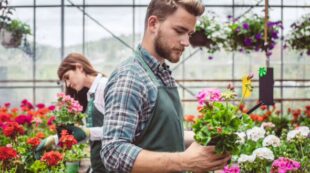 Advanced Diploma in Horticulture Worker Training at QLS Level 7