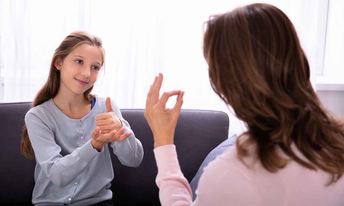 British Sign Language (Latest Version)