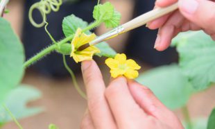 The Basics of Reproduction