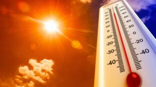 Heatwave: Health and Safety Tips