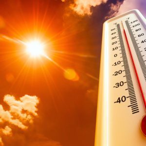 Heatwave Health and Safety Tips