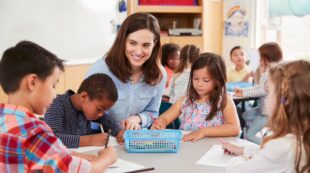 Primary Teacher