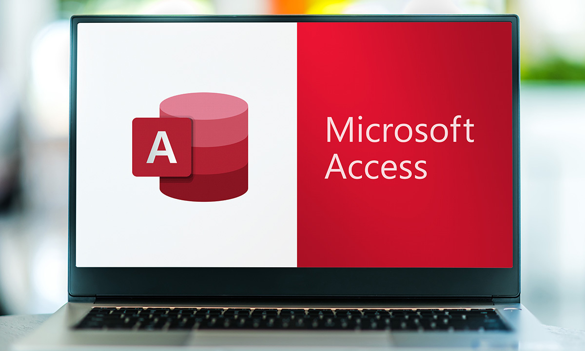 Microsoft Access for Beginners