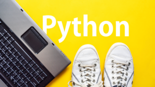 Python 101: Essentials for Beginners
