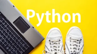Python from Scratch