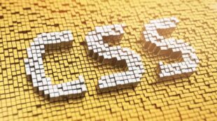 CSS Web Development
