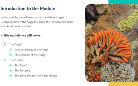 Medical Laboratory Assistant Training Level 3