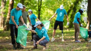 Diploma in Environmental Health at QLS Level 4