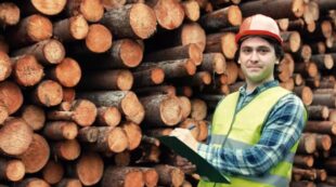 Forestry