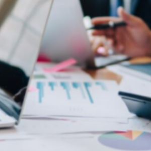 Corporate Finance: Profitability in a Financial Downturn