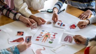 Advanced Diploma in Human Biology at QLS Level 7