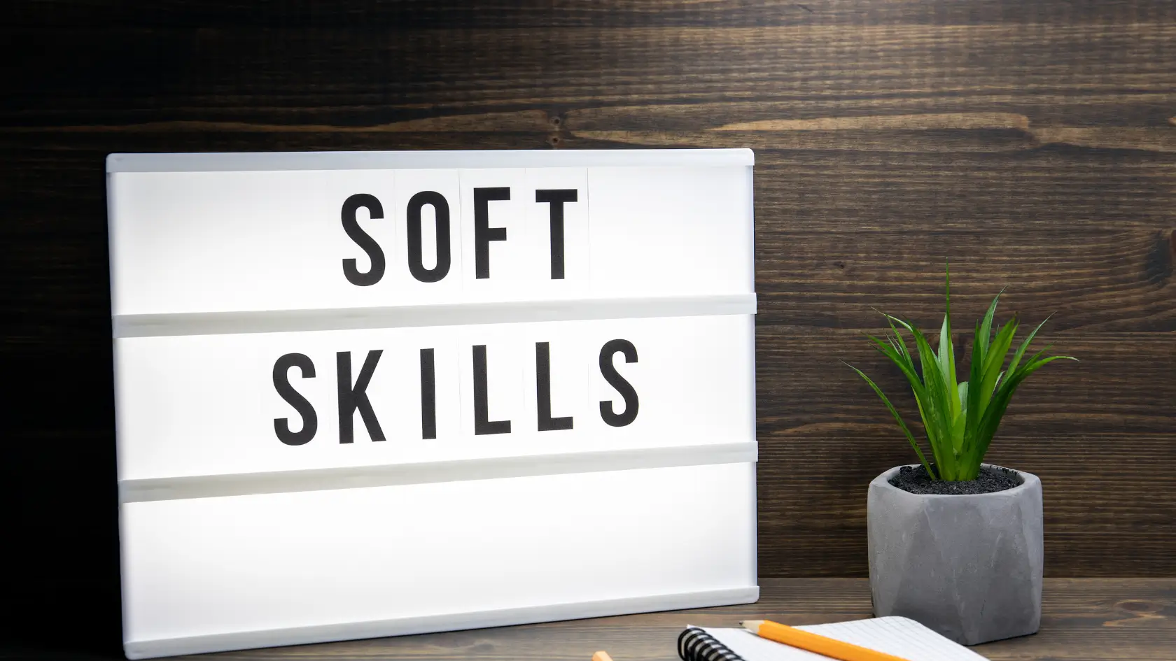 The Importance of Soft Skills in Health and Social Care Training