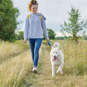 Dog Walking Job Ready Programme with Career Guidance
