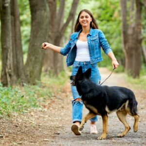 Level 3 Diploma in Pet Sitting and Dog Walking