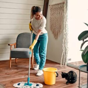 Level 3 Diploma in British Cleaning