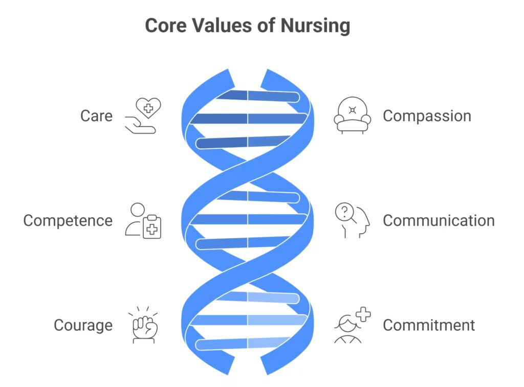 WHAT ARE THE 6 C’S OF NURSING?