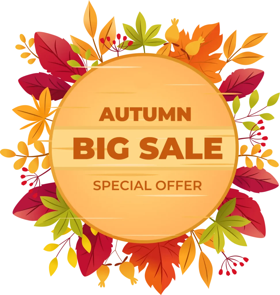 autumn big sale