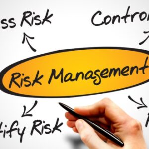 Strategic Risk Management for Enterprise Actuaries