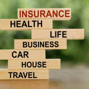 Pricing Techniques for General Insurance