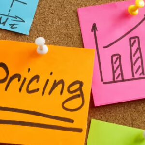 Pricing Techniques for General Insurance