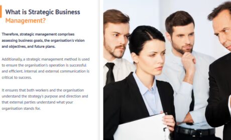 Business Strategy Consulting